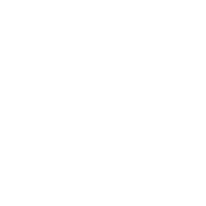 PCR Cualitativo